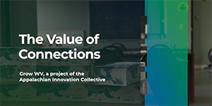 The Value of Connections